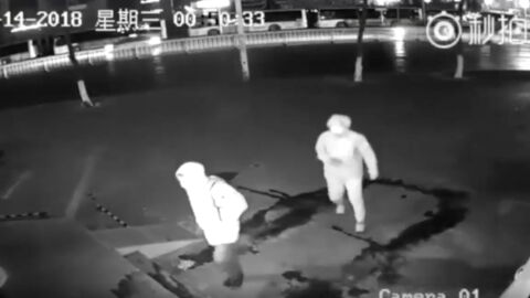 Two robbers caught in the act by CCTV might just be the worst burglars in the world
