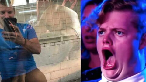 Paco León’s risque optical illusion has been driving internet users crazy!