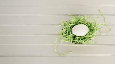 Woman finds mysterious egg that’s got the internet racking its brain