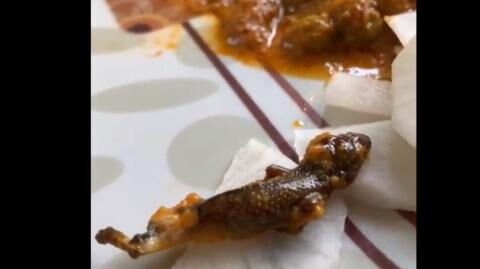 Couple disgusted to find dead lizard in takeaway curry