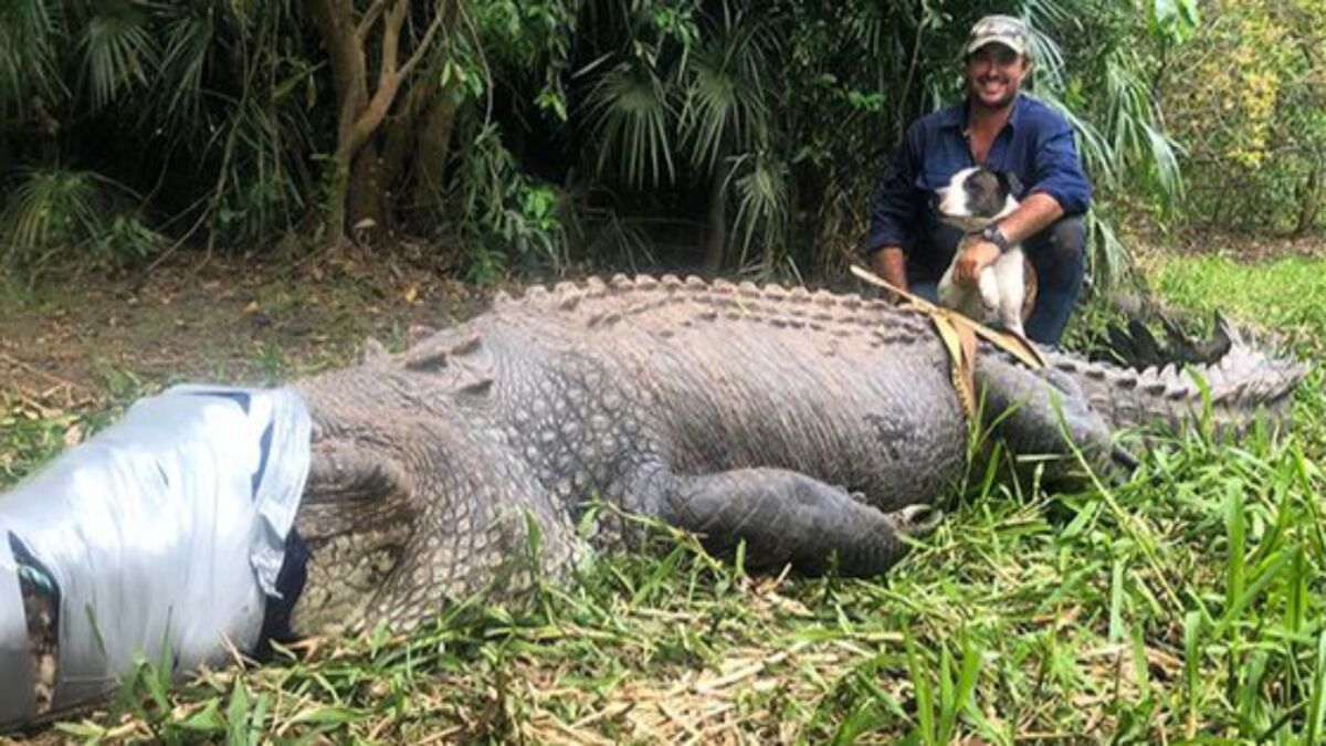 Authorities imprison Crocodile after dog-eating rampage