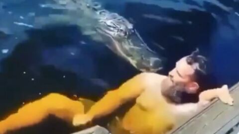Man gets attacked while swimming with alligators (VIDEO)