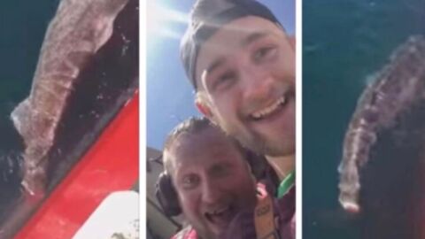 These two fishermen went viral after doing something unforgivable
