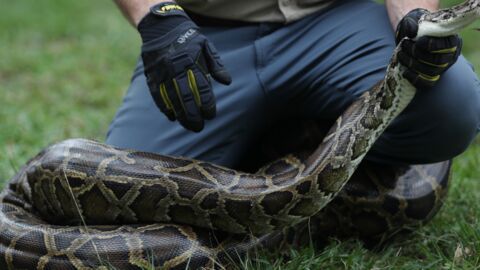 One man survived a snake after it went for his throat 