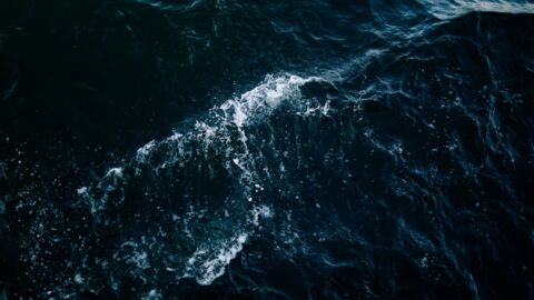 Scientists have made this terrifying discovery in the deepest part of the ocean