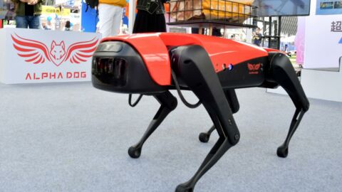 Meet Alphadog, the world's fastest Chinese robodog