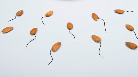 Study reveals real impact of COVID vaccine on sperm