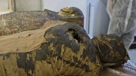 World's first pregnant mummy has been discovered