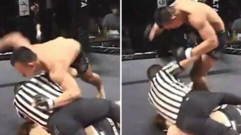 After winning the fight this Japanese MMA competitor attacks the referee