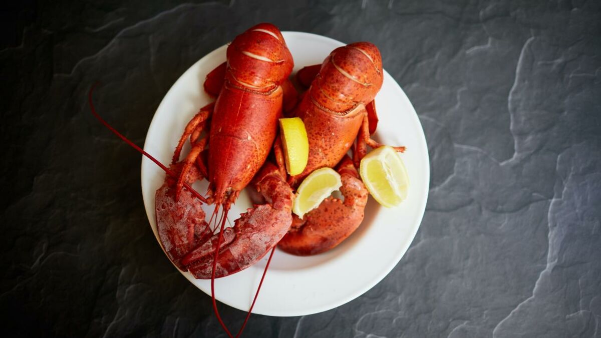 Boiling Lobsters Alive May Soon Be Illegal As Report Suggests They Have Feelings