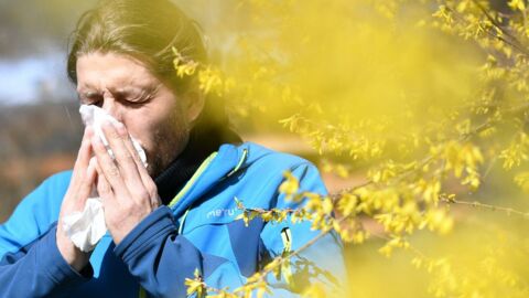 Think your allergies are getting worse? You're not the only one and science explains why