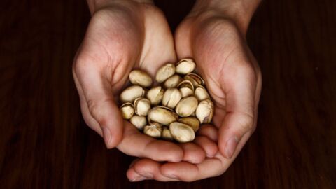 Nature’s Gold: 11 Reasons You Should Be Eating Pistachios Every Day