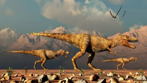 There were so many more T-Rexes on Earth than we thought