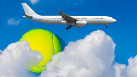 This is why you should always bring a tennis ball when travelling