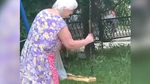 A 90-year-old has been caught smearing poo on children's swing sets in a bizarre protest