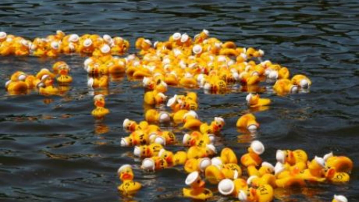 250 000 canards en plastique dérivent sur la Tamise pour une oeuvre caritative