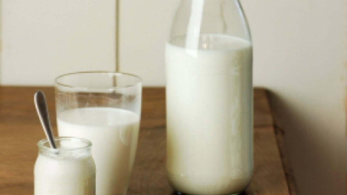 Du fromage au lait maternel servi lors d
