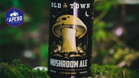 La bière aux champignons : la boisson parfaite en attendant l'hiver