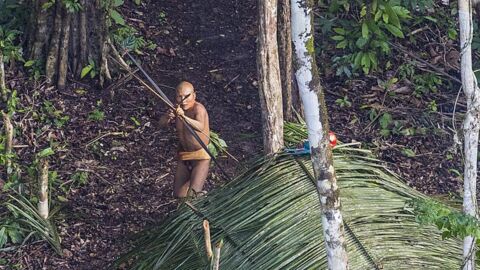 Brésil : le dernier survivant d'une tribu vit seul depuis 22 ans