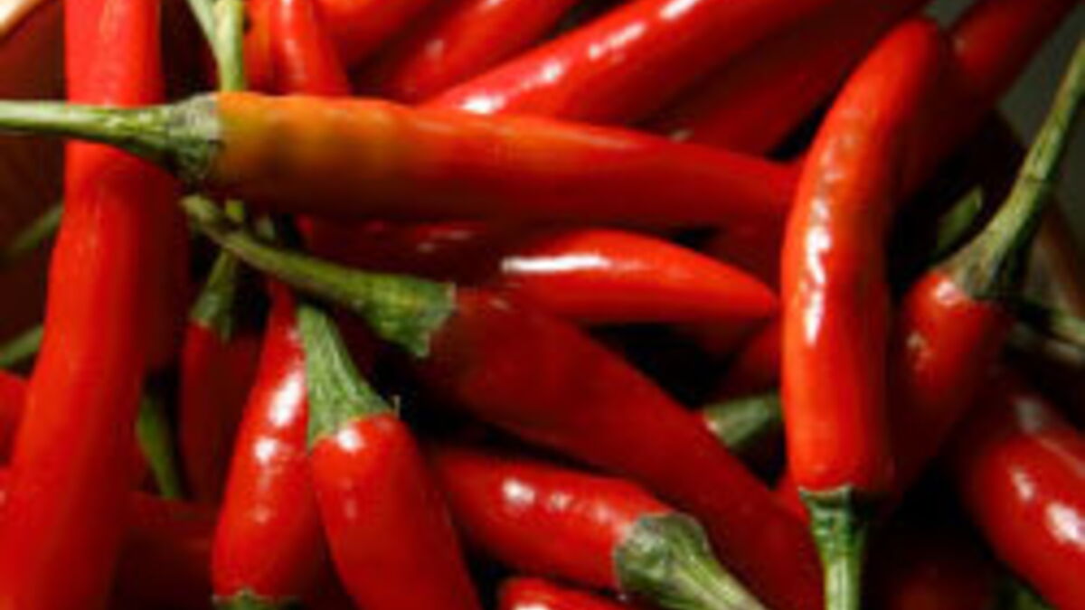 Le piment le plus fort au monde est anglais