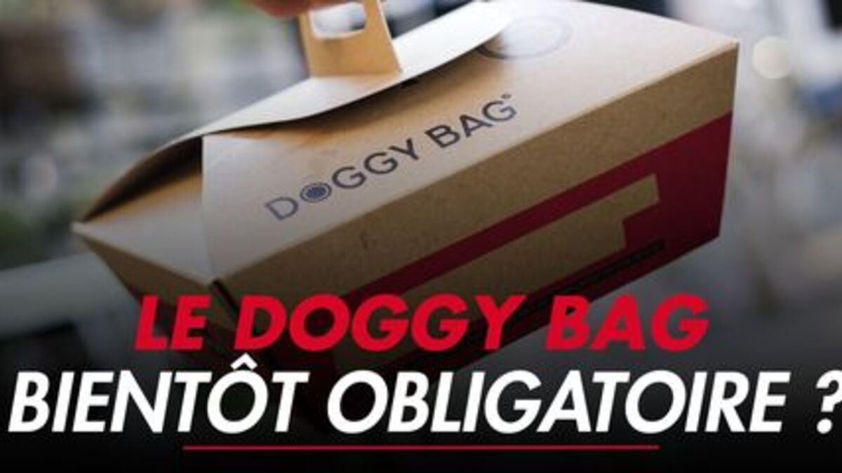 Le doggy bag bientôt obligatoire