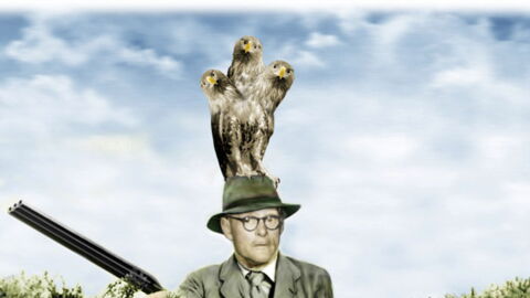 Cartes Postales Et Voeux Rétro Vintage Fleuriste Provence Sud France