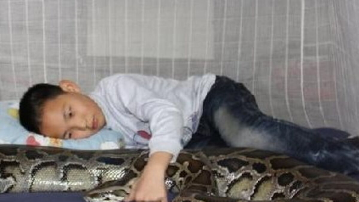 Cet enfant de 13 ans a fait d'un python son meilleur ami