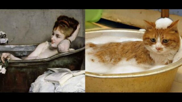 Les Chats Imitent Les Toiles De Maitre Les Plus Celebres