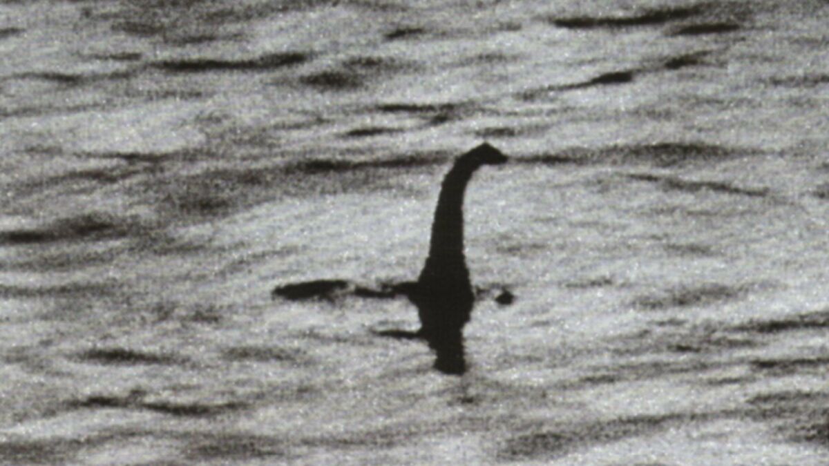 La Légende Du Monstre Du Loch Ness Enfin Expliquée Par La Science