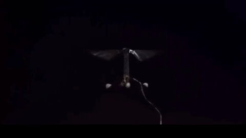 Le plus petit drone du monde pourrait remplacer les abeilles