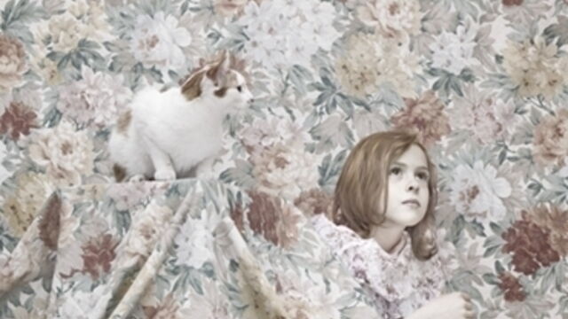 Ganadores de los premios Sony World Photography Awards 2013