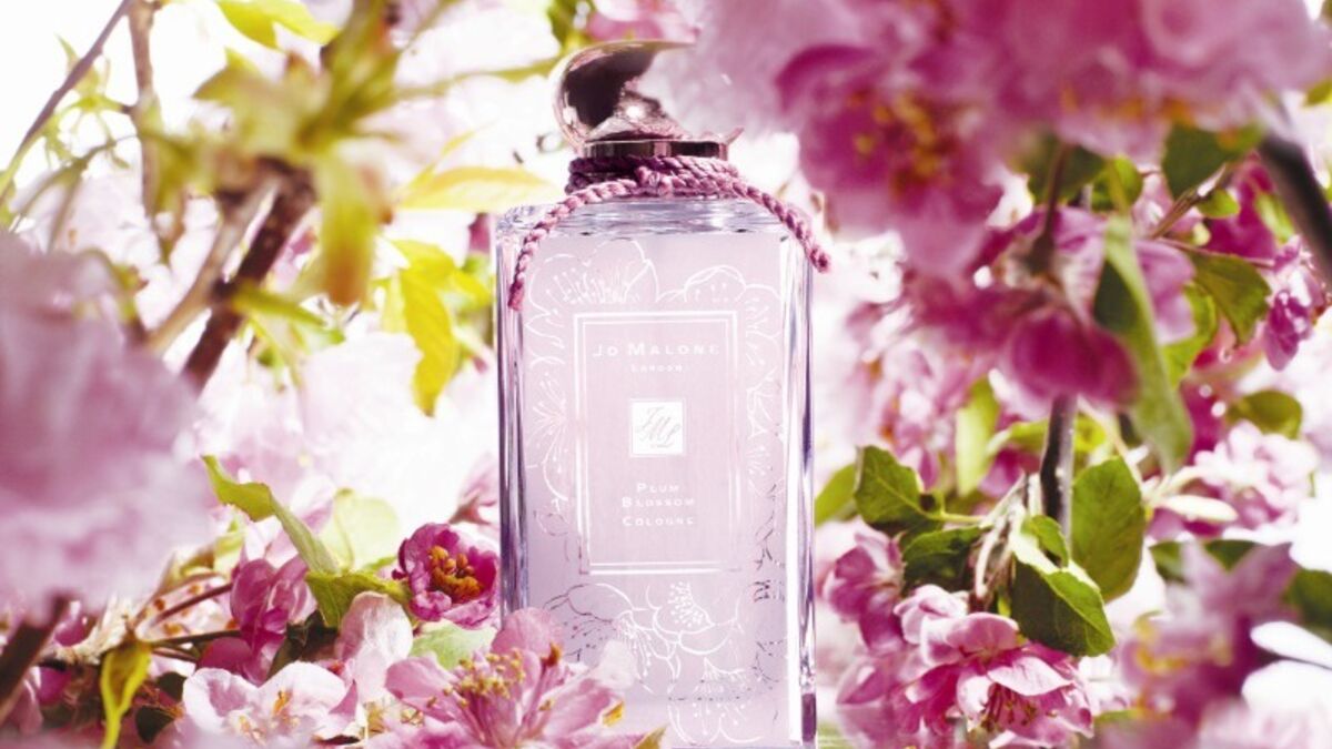 Jo malone cherry blossom. Джо Малон Сакура черри блоссом. Jo Malone Plum Blossom Cologne. Sakura Cherry Blossom Jo Malone London. Jo Malone Plum Blossom (2015).