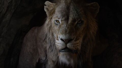Disney dévoile une nouvelle bande-annonce épique du "Roi Lion" (VIDEO)