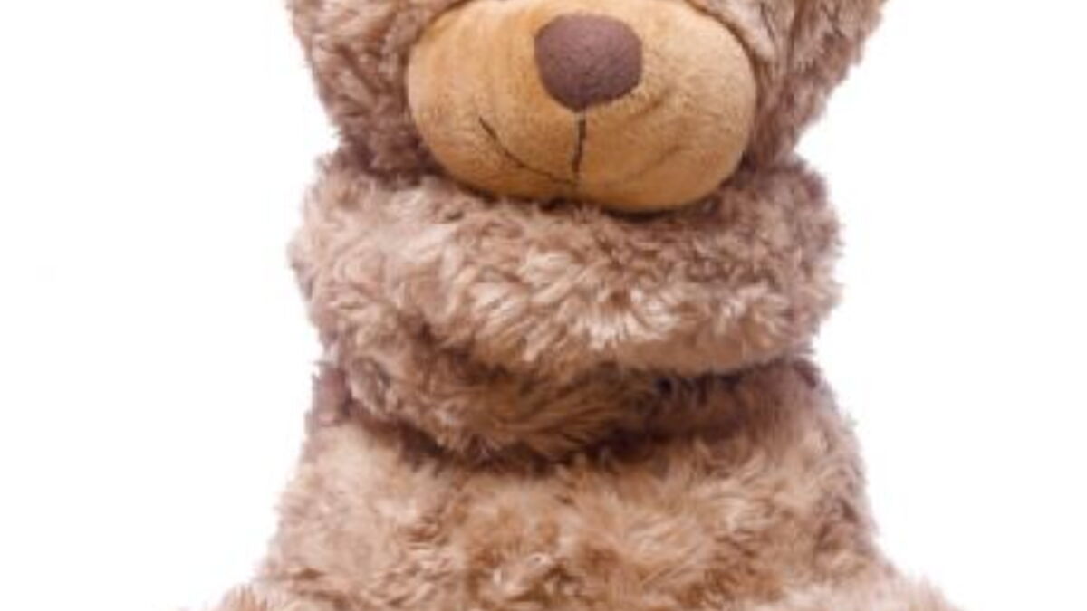Un bébé singe adopte une peluche! (Video) — free download