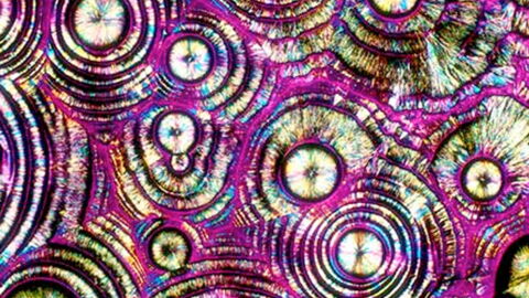 Ces Images Etonnantes Sont Des Alcools Vus Au Microscope