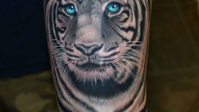 Selection De 14 Tatouages Avec Des Tigres