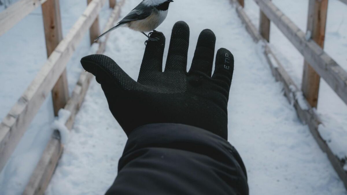 Unigear Gants Doublure Chauffants, sous Gants à Écran Tactile