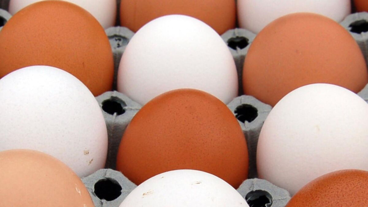 Quels sont les aliments périmés que l