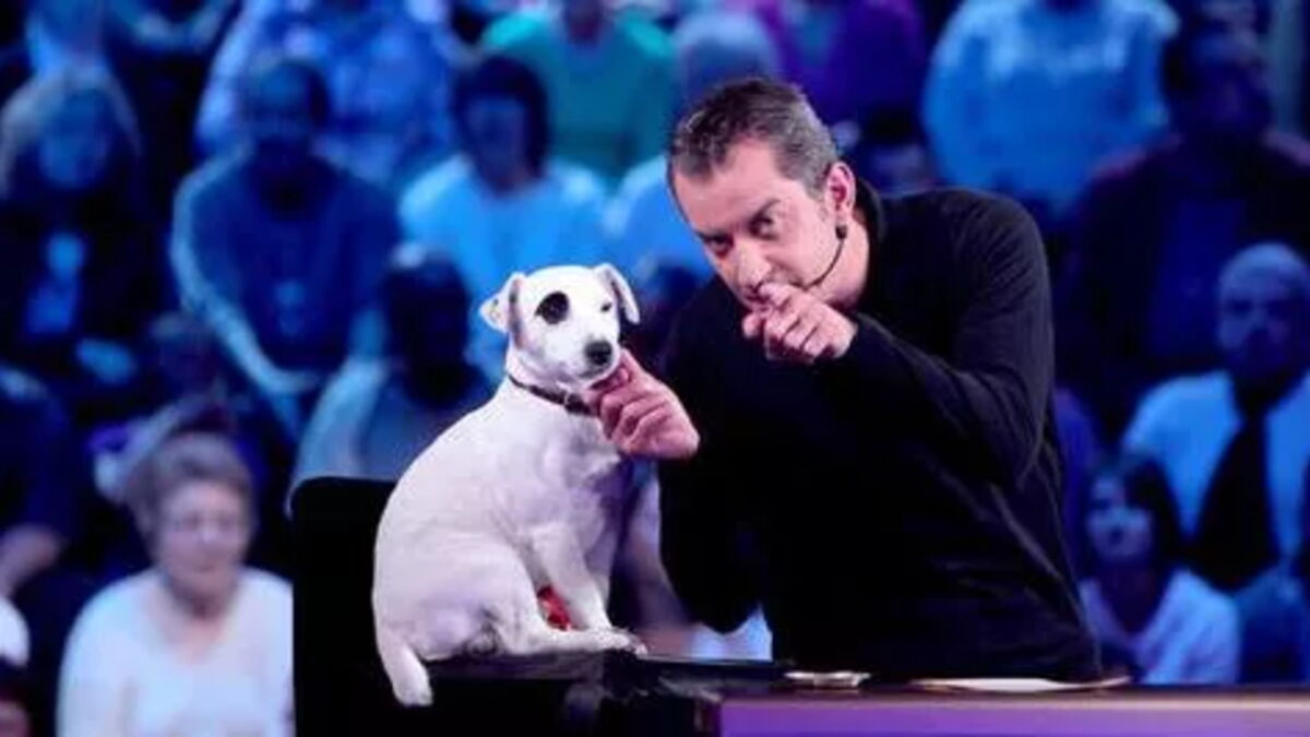 Christophe Dechavanne : Adeck, son célèbre chien qui le suivait partout ...