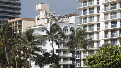 Ce Chat Tombe De Dix Etages Et Se Releve Sans Une Egratignure