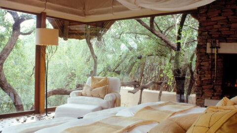Makanyane Safari Lodge: Ein Luxushotel in der großartigen afrikanischen Savanne