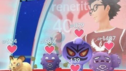 Pokémon GO: Die neue Mode unter den Trainern! Arenen nach Themen zusammenstellen