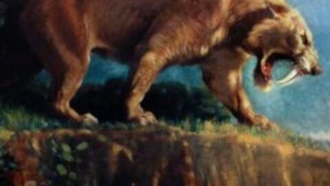 Diese 10 ausgestorbenen Tierarten sollen von Wissenschaftlern zurückgeholt werden