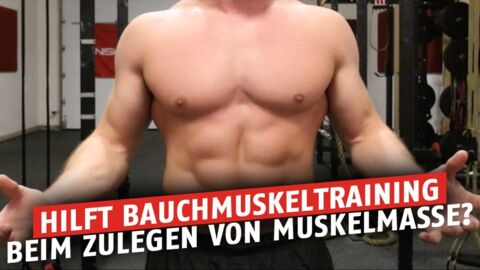Bauchmuskeln trainieren um Muskelmasse zuzulegen?