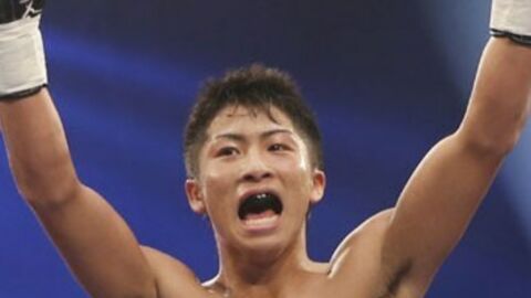 Wer sind aktuell die besten Boxer?