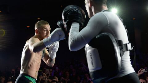 Conor McGregor erhält eine Boxlizenz in Kalifornien!