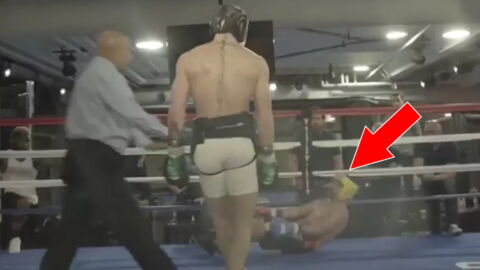 Dana White veröffentlicht Video: Conor McGregor schlägt Paulie Malignaggi K. o.