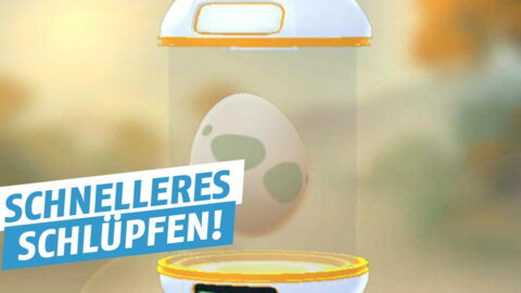 Pokémon GO: Dank des Updates können eure Eier nun schneller schlüpfen
