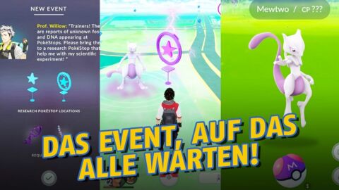 Pokémon GO: Spieler entwickelt perfektes Event für Mewtu