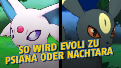 Pokémon GO: Wie entwickelt ihr Evoli zu Psiana und Nachtara?